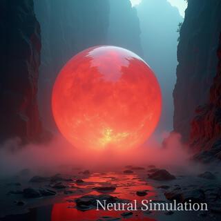 Neural Simulation