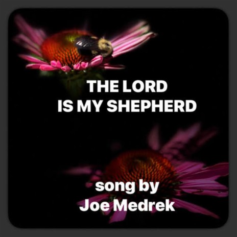 The Lord Is My Shepherd | Boomplay Music