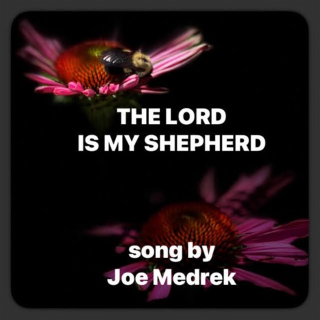 The Lord Is My Shepherd