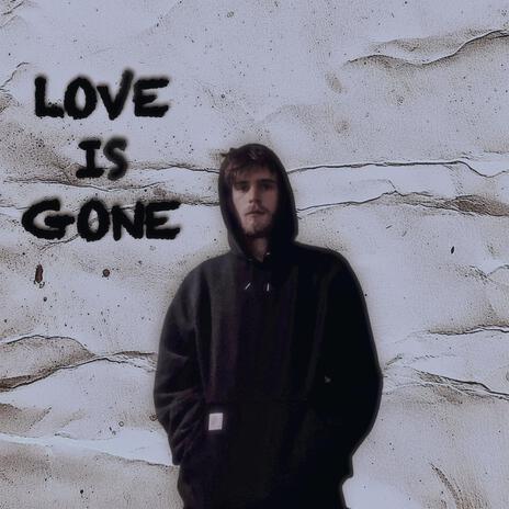 LOVE IS GONE | Boomplay Music