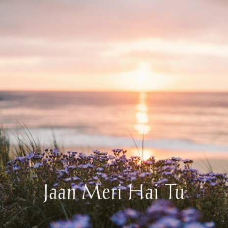 Jaan Meri Hai Tu | Boomplay Music
