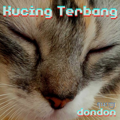 Kucing Terbang | Boomplay Music