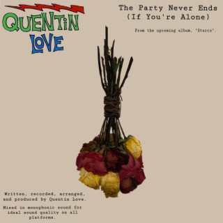 The Party Never Ends (If You're Alone) (Mono Single Version)