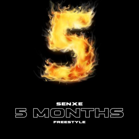 5 Months Freestyle | Boomplay Music