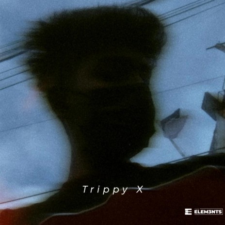 Trippy X | Boomplay Music