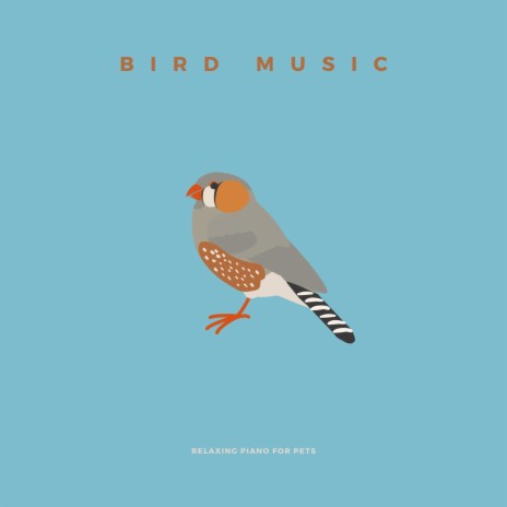 Music For Birds | Boomplay Music