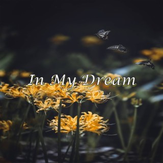 In My Dream
