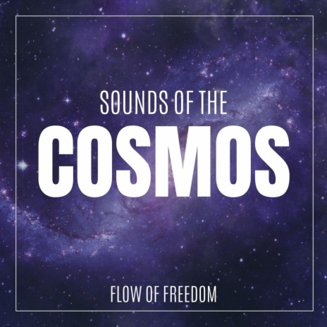 Sounds of the Cosmos, Pt. 8