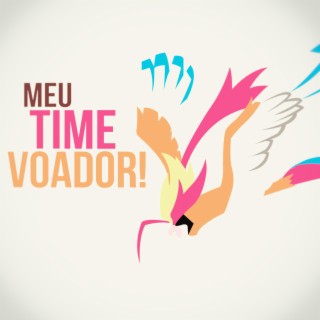 Meu Time Voador Pokémon