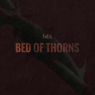 bed of thorns