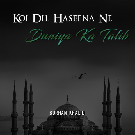 Koi Dil Haseena Ne Duniya Ka Talib | Boomplay Music