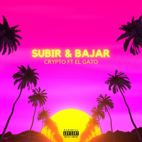 Subir & Bajar ft. El Gato | Boomplay Music