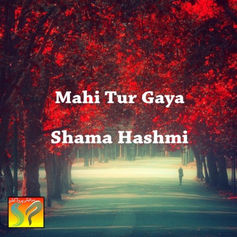 Mahi Tur Gaya | Boomplay Music