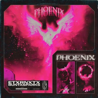 Phoenix (BuntaSparks Remix)