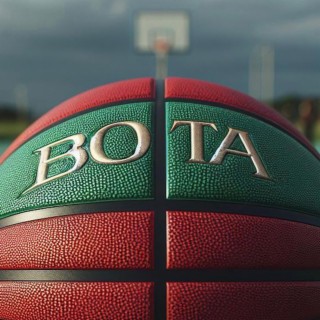 BOTA lyrics | Boomplay Music