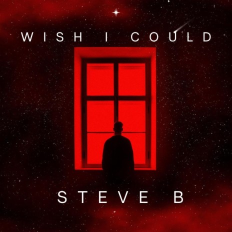 Wish I Could | Boomplay Music