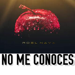 NO ME CONOCES