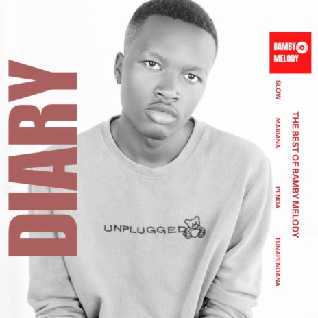 Diary | Boomplay Music