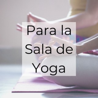 Para la Sala de Yoga: New Age para la Shala, para Practicar Yoga, Pranayama y Meditación