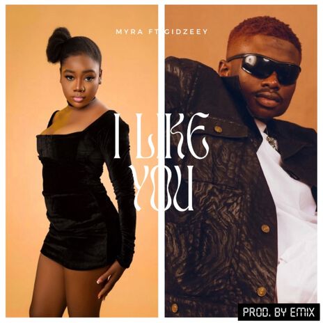 I Like You ft. Gidzeey | Boomplay Music