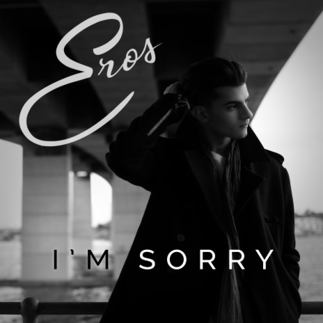 I'm Sorry | Boomplay Music