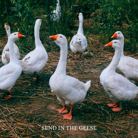 Send In The Geese ft. Mark Huff | Boomplay Music