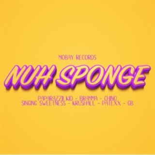 Nuh Sponge