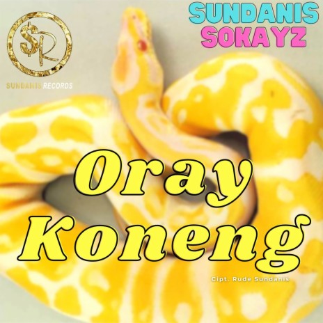 Oray Koneng ft. Sokayz | Boomplay Music