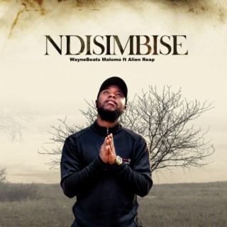 Ndisimbise