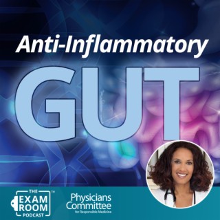 Anti-Viral Gut: Less Inflammation, More Immunity | Dr. Robynne Chutkan