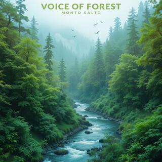 Voice of Forest