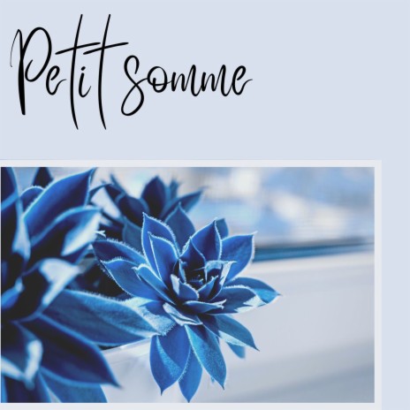 Petit somme | Boomplay Music