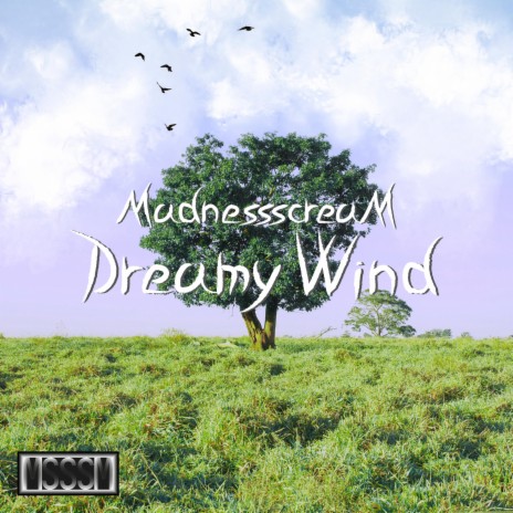 Dreamy Wind | Boomplay Music