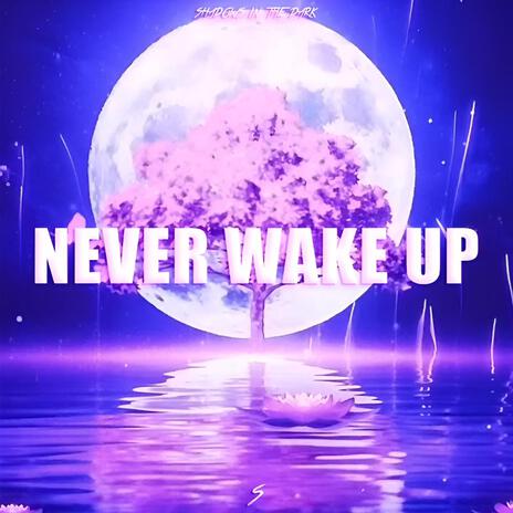 Never Wake Up | Boomplay Music