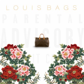 Louis Bags