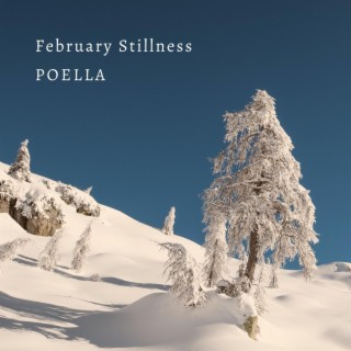 February Stillness