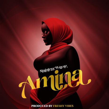 Amina | Boomplay Music