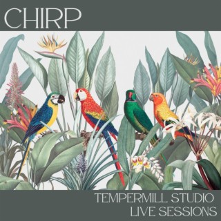 Tempermill Studio Live Sessions