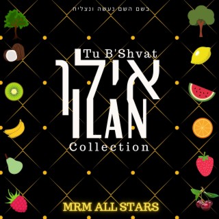 Ilan Collection (Tu Bshvat)