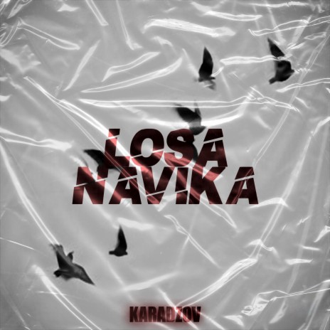 Losa Navika | Boomplay Music