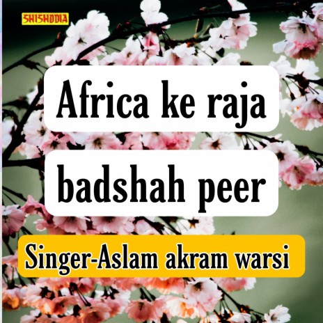 Africa Ke Raja Badshah Peer | Boomplay Music