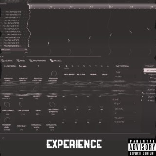 EXPERIENCE