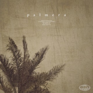 palmera lyrics | Boomplay Music