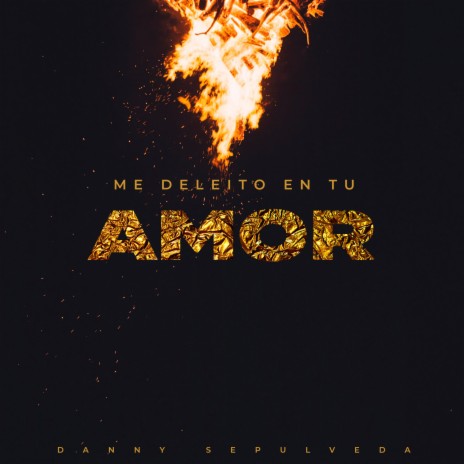 Me Deleitó En Tu Amor | Boomplay Music