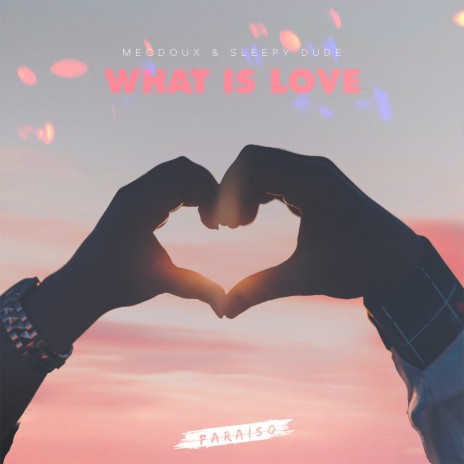 What Is Love ft. Mecdoux | Boomplay Music