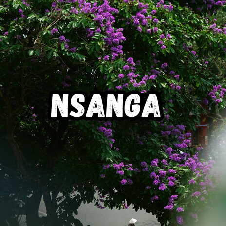 Nsanga ft. coolest | Boomplay Music