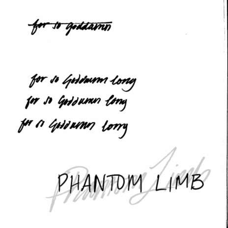 Phantom Limb ft. PENAFLR | Boomplay Music