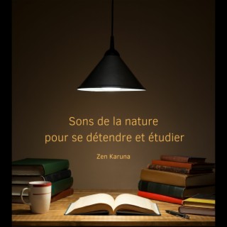 Sons de la nature pour se détendre et étudier