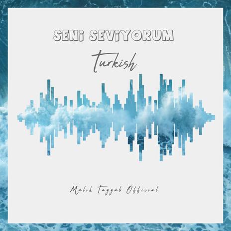 Seni Seviyorum (Turkish) | Boomplay Music