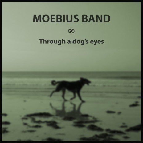 Through a dog's eyes | Boomplay Music